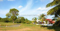 The Hive – Tangalle