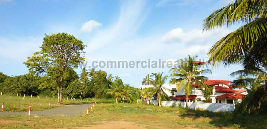 The Hive – Tangalle