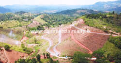 Royal Elegence – Doluwa