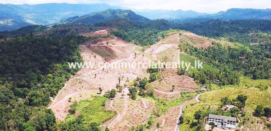 Royal Elegence – Doluwa