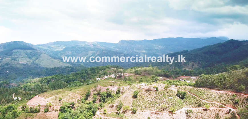 Royal Elegence – Doluwa