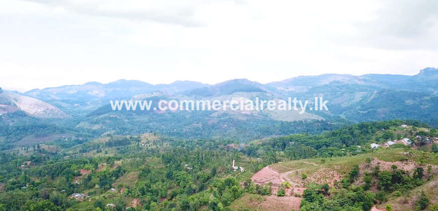 Royal Elegence – Doluwa