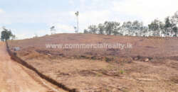 City of Life – Kahawatta