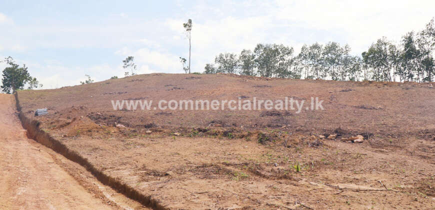 City of Life – Kahawatta