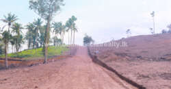 City of Life – Kahawatta