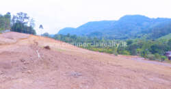 City of Life – Kahawatta