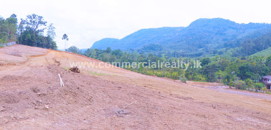 City of Life – Kahawatta