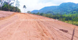 City of Life – Kahawatta