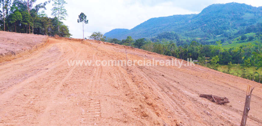 City of Life – Kahawatta