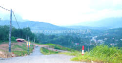 City of Life – Kahawatta