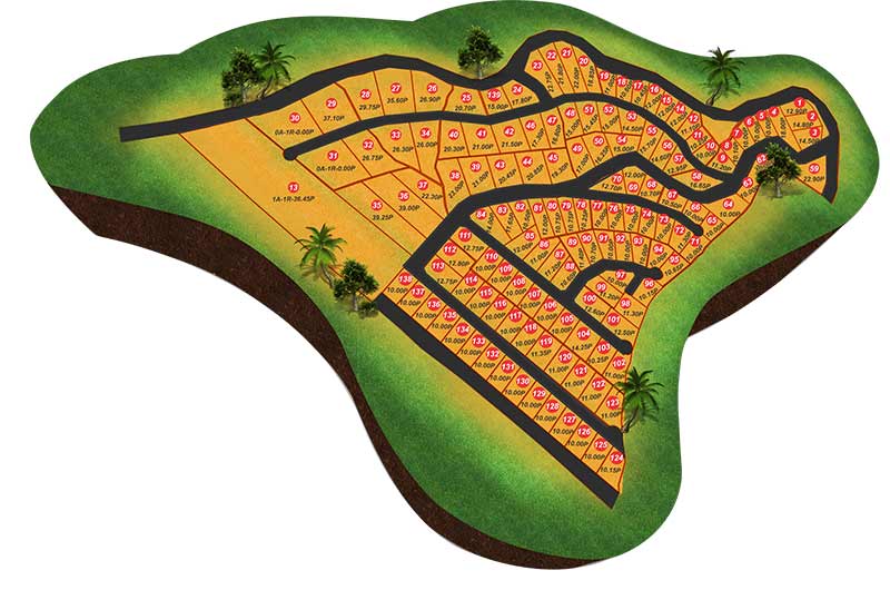 City of Life – Kahawatta