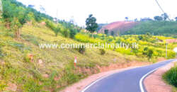 Royal Elegence – Doluwa