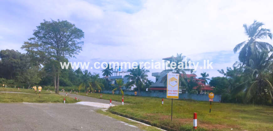 The Hive – Tangalle