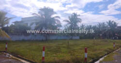 The Hive – Tangalle