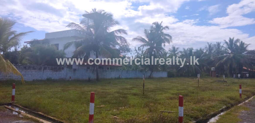 The Hive – Tangalle