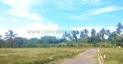 The Hive – Tangalle