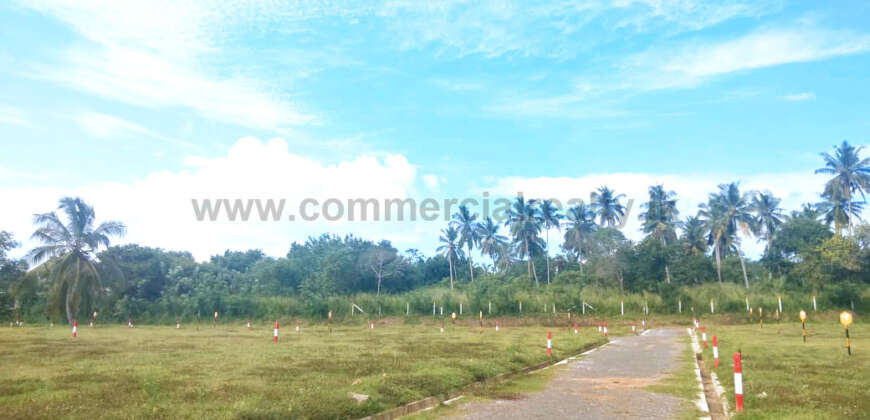 The Hive – Tangalle