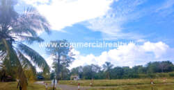 The Hive – Tangalle