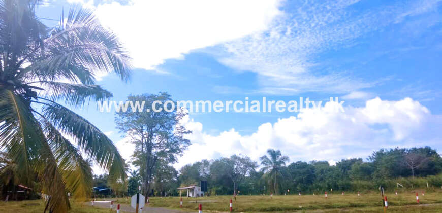 The Hive – Tangalle